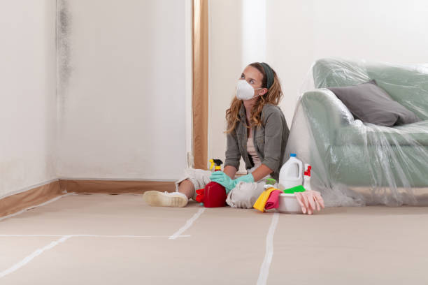 Reliable Crawl Space Mold Removal contractor in New Hope, OR by WQB Mold Removal